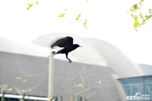 20180410143117_47365 28圈-28圈官方网站-相信品牌的力量