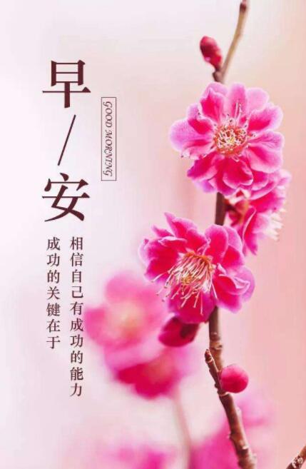28圈-28圈官方网站-相信品牌的力量