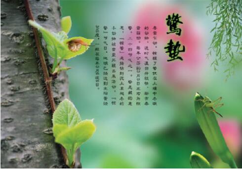 28圈-28圈官方网站-相信品牌的力量