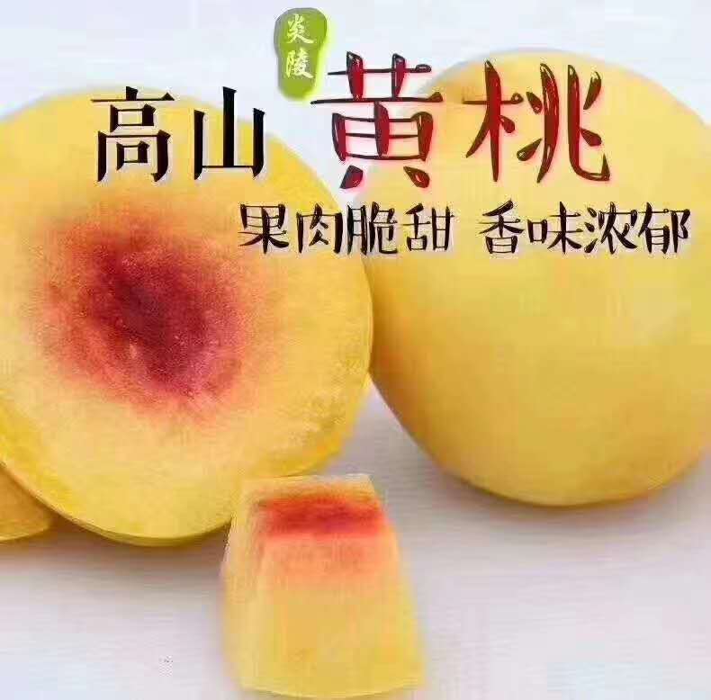 28圈-28圈官方网站-相信品牌的力量